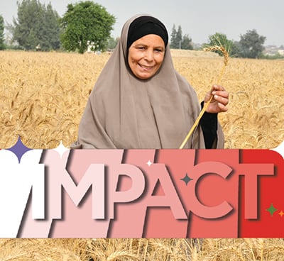 Abt Mission Impact Report